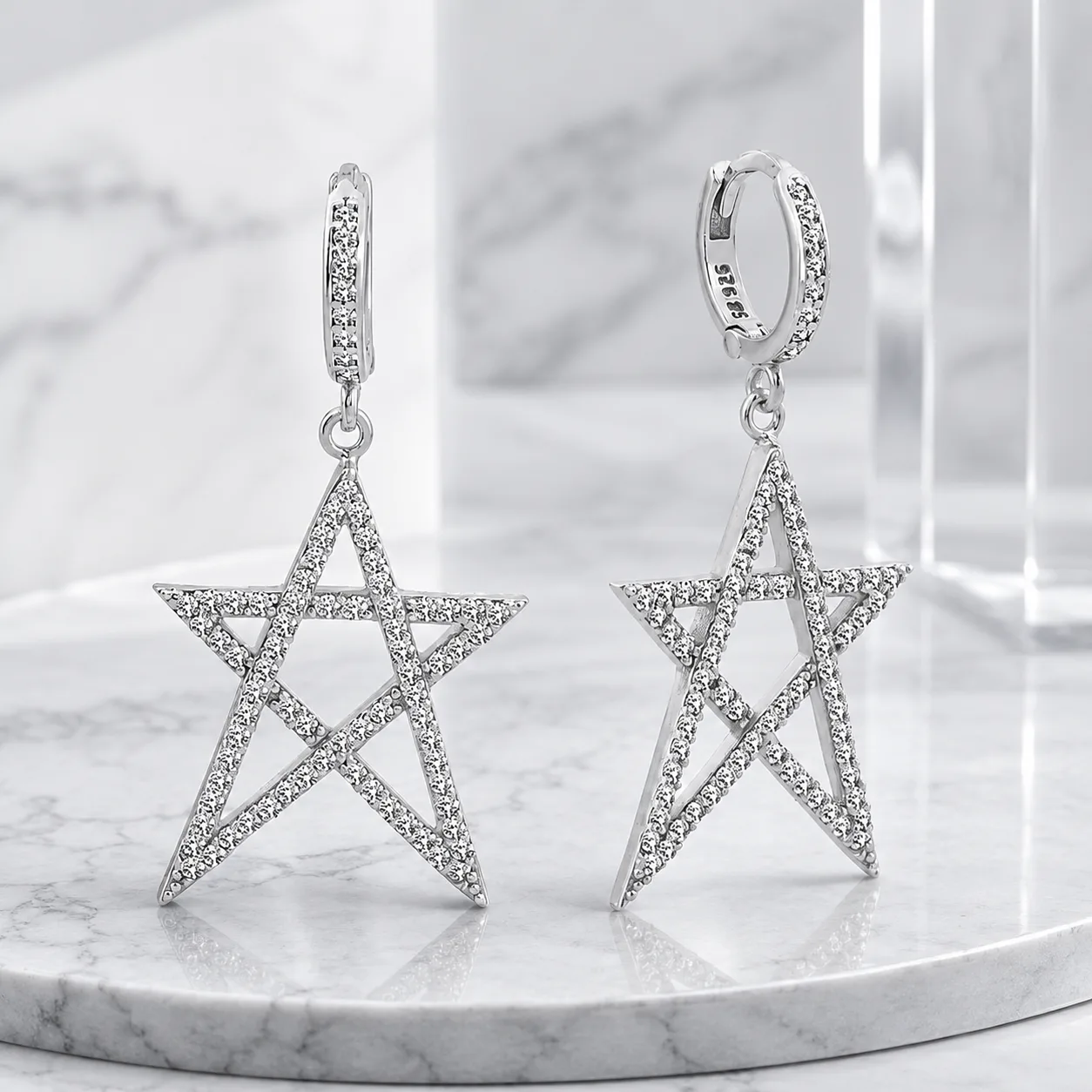 925 Sterling Silver Zircon Flower Earrings for Women